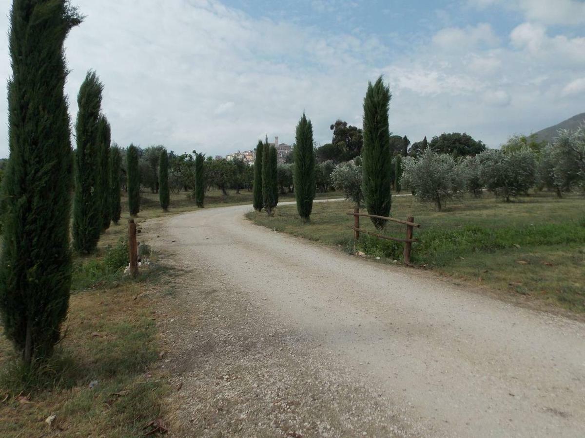 Agriturismo Cento Ducati Palombara Sabina Exterior photo