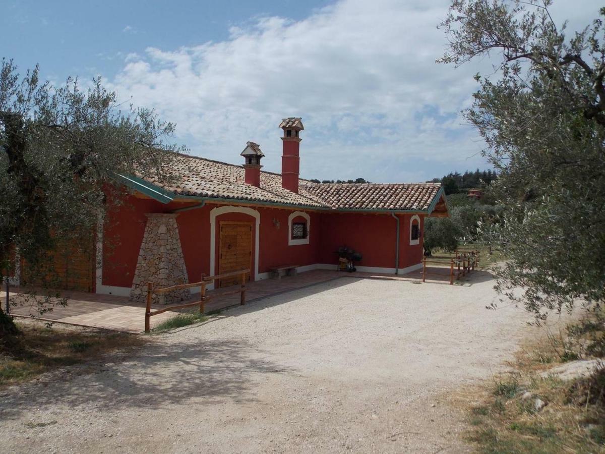 Agriturismo Cento Ducati Palombara Sabina Exterior photo